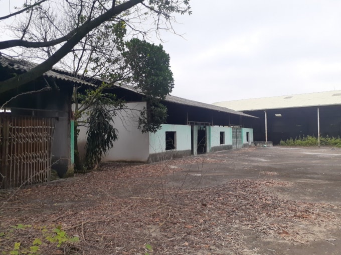 Thửa đất số 89, tờ bản đồ số 19 tại xã Xương Lâm được UBND huyện Lạng Giang cấp đến hai cuốn sổ đỏ.