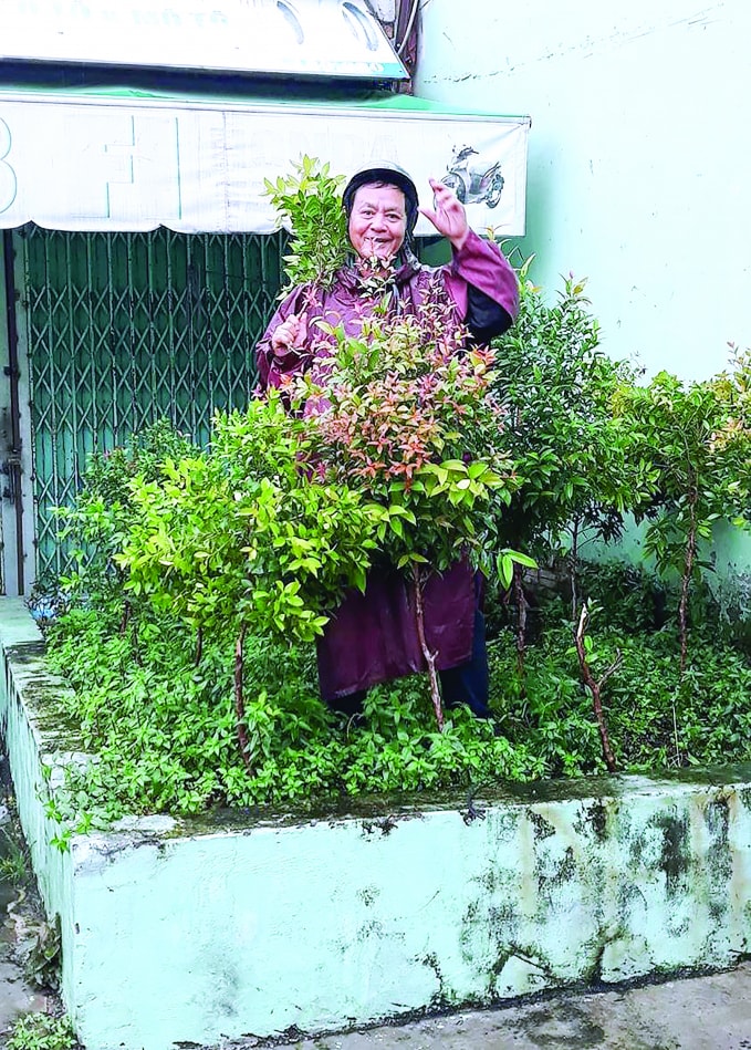 Bồn cây trước nhà anh Sang, cây dại cao ngang đầu người là nơi sinh sôi của ruồi muỗi.