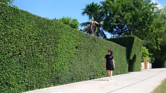 Một góc làng quê của xã Tùng Ảnh, huyện Đức Thọ.