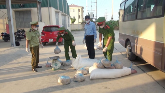 Lực lượng chức năng kiểm tra số thịt lợn không rõ nguồn gốc xuất xứ