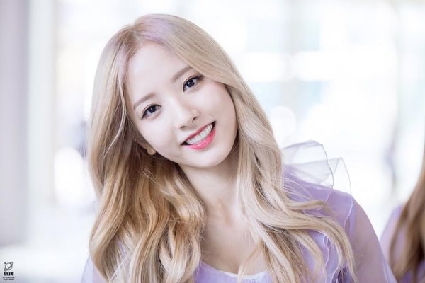 Bona