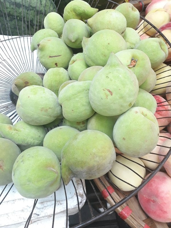 Đào mỏ quạ Sapa.