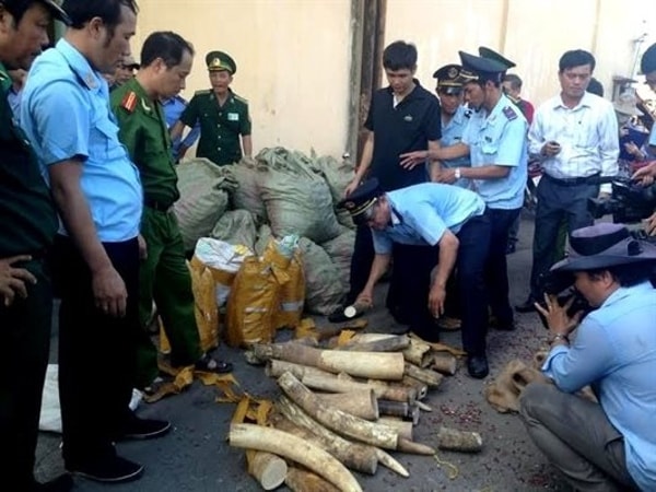 Lực lượng chức năng của Việt Nam xử lý một vụ buôn bán sản phẩm từ động vật hoang dã