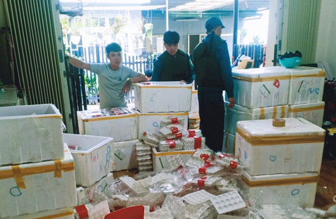 Lực lượng chức năng kiểm tra phát hiện lô hàng dâu tây không có hóa đơn, chứng từ hợp pháp.
