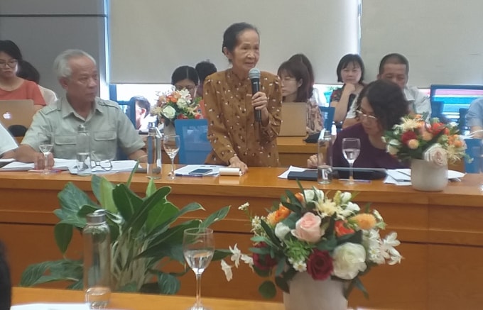 Chuyên gia kinh tế Phạm Chi Lan phát biểu tại buổi toạ đàm.