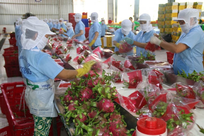 Nhiều mặt hàng nông sản dù đặt chân xuống