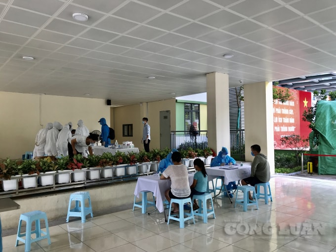 Việc Test nhanh Covid-19 tại điểm Trường Tiểu học Hoàng Diệu (phường Cống Vị) được thực hiện hết sức khẩn trương, nghiêm túc