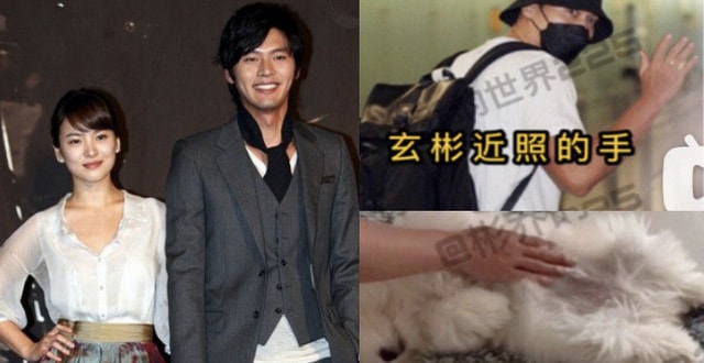 Cánh tay của 1 người trong clip về chú chó của Song Hye Kyo fan nghi ngờ là cánh tay của Hyun Bin.