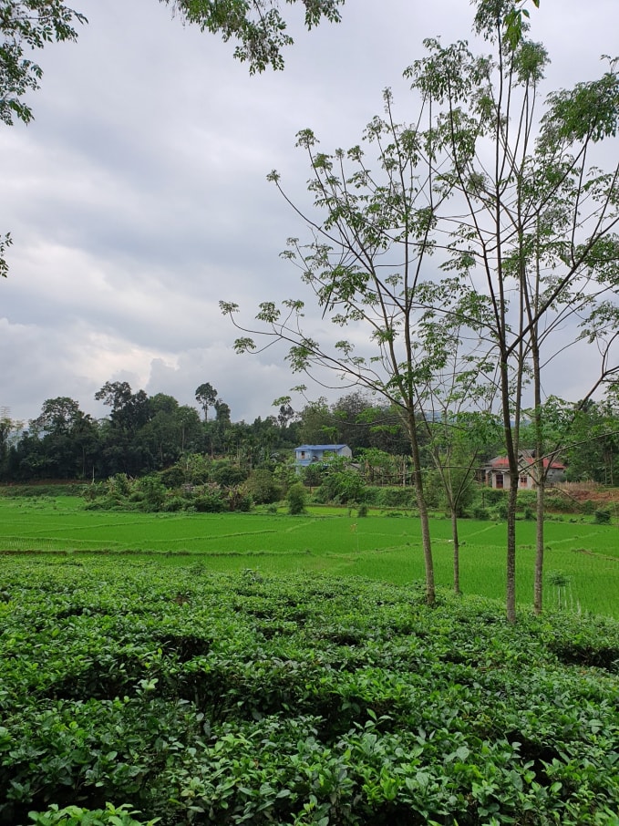 Hợp Thành hôm nay.