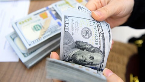 Hôm nay, đồng USD vẫn chưa thoát đà giảm. Ảnh: TL
