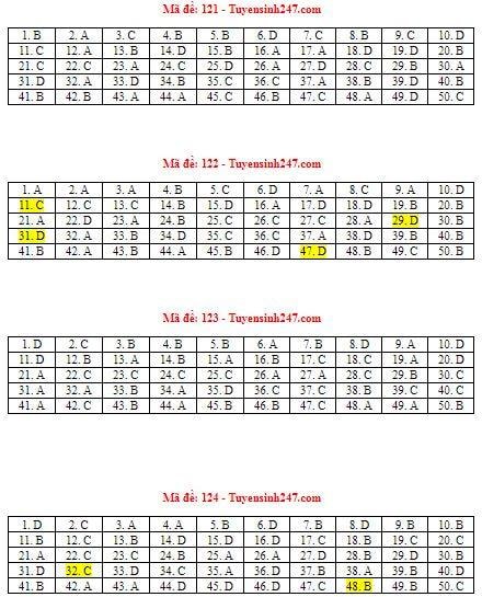 117307656_232146421280585_1385562807579747870_n