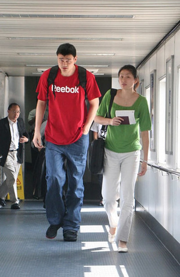 Ye Li cao hơn 1m90 nhưng trông vẫn nhỏ bé khi đi cùng Yao Ming. Ảnh: internet.