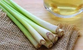 cách làm tinh dầu xả
