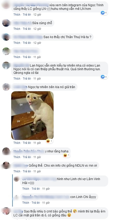 lan-ngoc-7