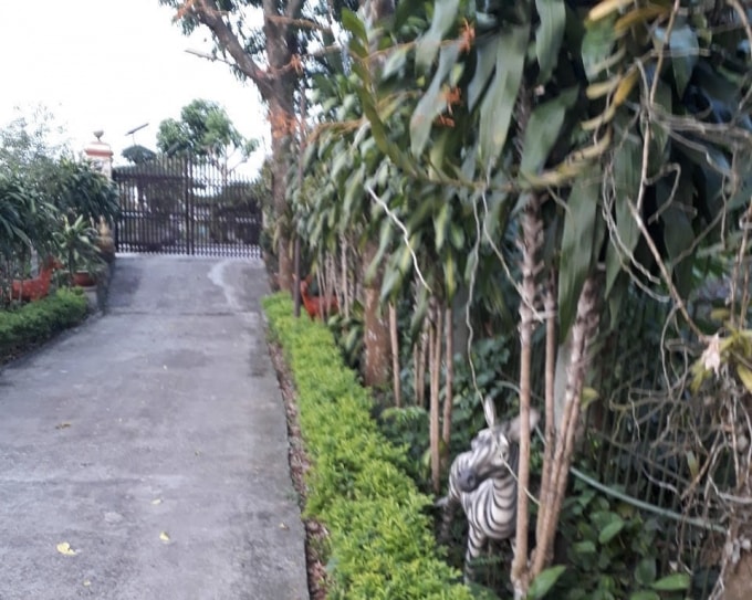 Cận cảnh lối đi chung ngõ 1601. Ảnh: Hữu Phương
