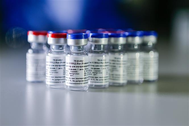 Vaccine ngừa bệnh COVID-19 của Nga, do Viện khoa học nghiên cứu về dịch tễ học và vi trùng học Gamaleya phát triển, được giới thiệu tại Moskva ngày 6/8/2020. Ảnh: THX/TTXVN.
