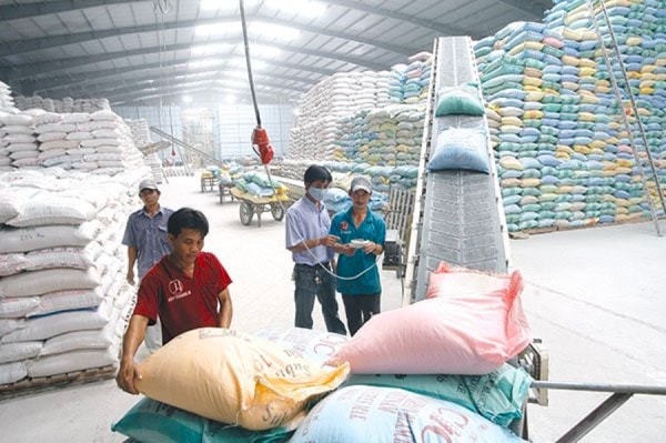 Có tới 26 doanh nghiệp gạo đạt chứng nhận doanh nghiệp xuất khẩu uy tín 2019