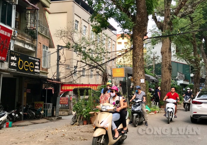 Tình trạng vi phạm trật tự đô thị diễn ra hết sức nhức nhối trên tuyến đường Hoàng Hoa Thám mà chưa có biện pháp xử lý dứt điểm