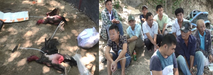 Các đối tượng cùng tang vật bị lực lượng chức năng thu giữ.
