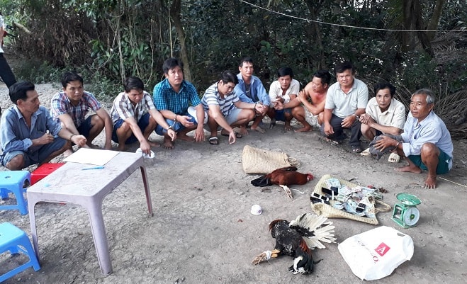 Tại hiện trường, lực lượng Công an thu giữ 3 con gà, 2 cặp cựa sắt, nhiều điện thoại di động và số tiền gần 28 triệu đồng. Ảnh: CA Vĩnh Long