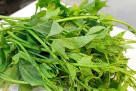 rau-lang