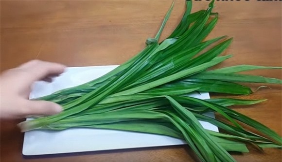 lá dừa