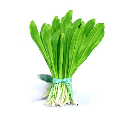 mùi tàu
