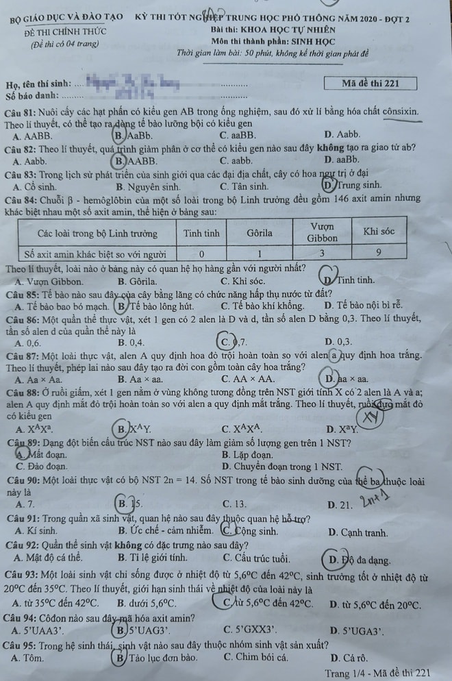 mã đề 211