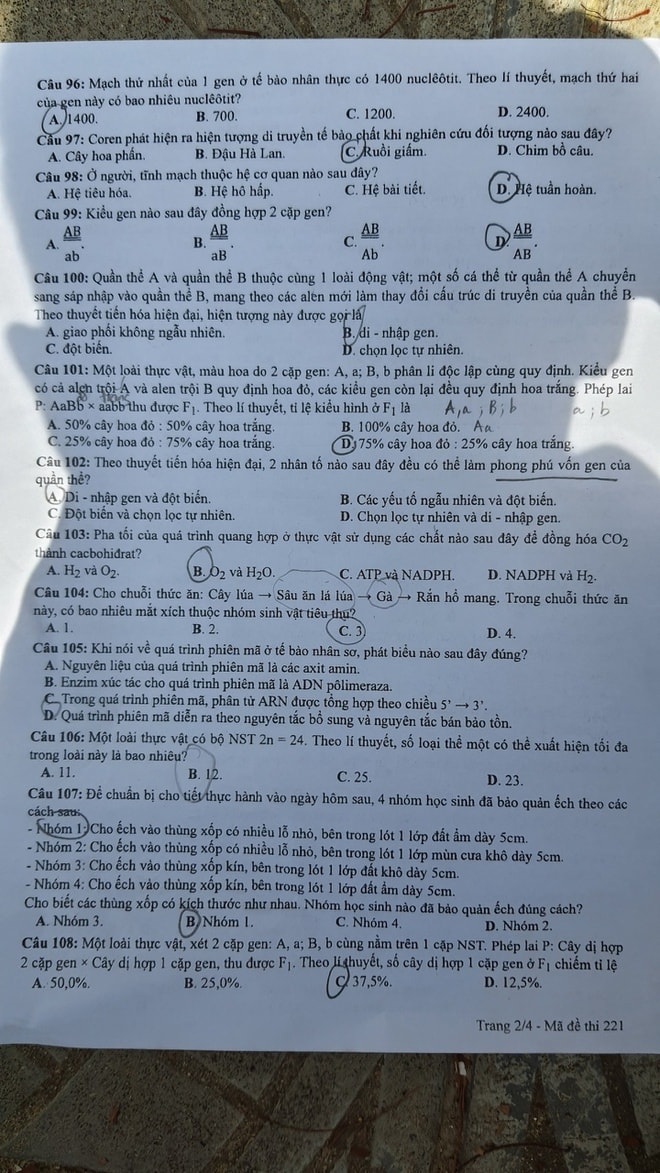 mã đề 212