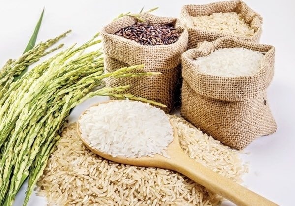 Gạo Việt ngày càng khẳng định được uy tín, chất lượng trên thị trường quốc tế