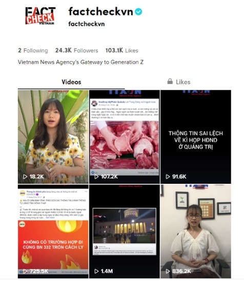 Tài khoản factcheckvn trên TikTok. (Nguồn: Vietnam+)