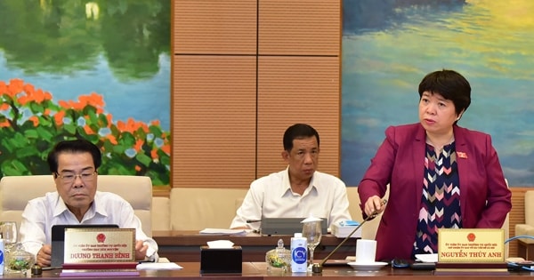 Chủ nhiệm Ủy ban Về các vấn đề xã hội Nguyễn Thúy Anh phát biểu tại phiên họp