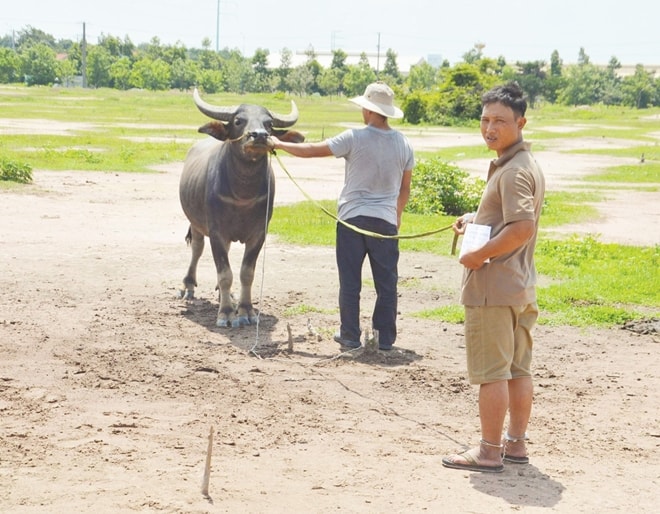 Đối tượng Nguyễn Văn Long cùng tang vật bị lực lượng chức năng thu giữ. Trước đó, Long đã từng bị Công an tỉnh Nghệ An bắt quả tang và bị phạt tù về hành vi này.