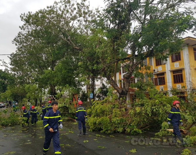 Huy động toàn thể cán bộ chiến sĩ ra đường chung tay dọn dẹp, tổng vệ sinh đường phố TP Huế.