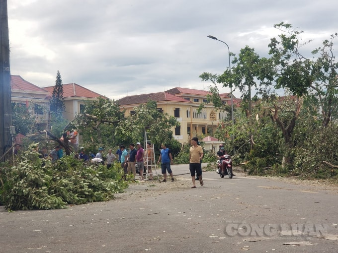 Hơn 10.000 cây xanh ở thành phố Huế bị gãy đổ.