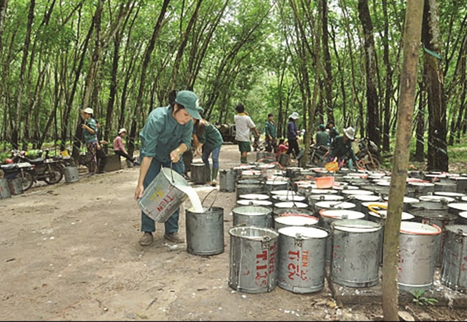 Nhóm săm lốp “dậy sóng” nhờ thông tin M&A từ Vinachem.