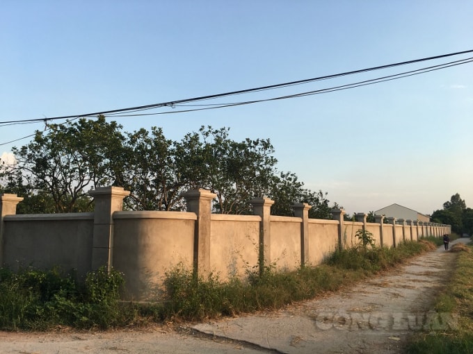 Hộ ông Phạm Toàn Thắng đã cho xây dựng tường bao kiên cố xung quanh để tiện che giấu xây dựng nhà xưởng bên trong.