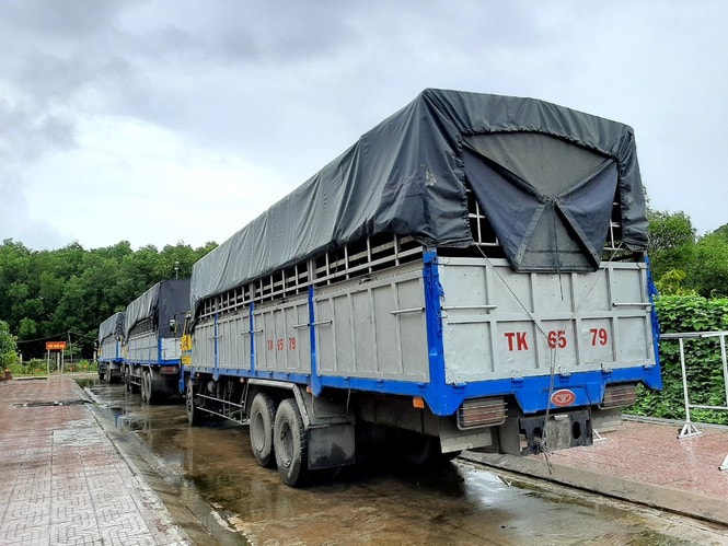 Vụ việc được cơ quan chức năng của Quân khu 9 bàn giao cho Phòng Cảnh sát giao thông - Công an tỉnh Kiên Giang điều tra xử lý theo đúng quy định của pháp luật. Ảnh: internet.