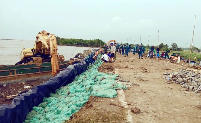 Nhiều sai phạm tại dự án Nâng cấp đê biển Tây ở Cà Mau (ảnh st)