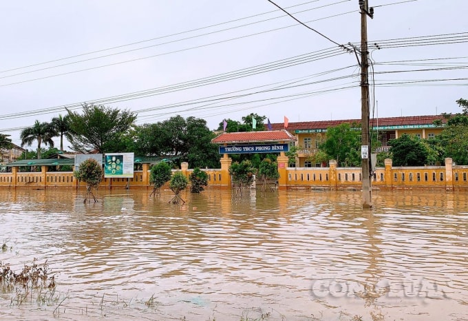 Trường THCS Phong Bình là một trong những ngôi trường nằm tại vùng rốn lũ của huyện Phong Điền.
