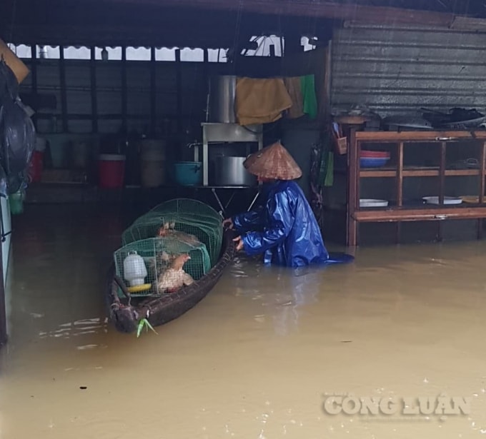 Mưa lớn khiến nước các sông lên, nhiều vùng thấp trũng xuất hiện đợt lũ mới trong vòng 10 ngày.