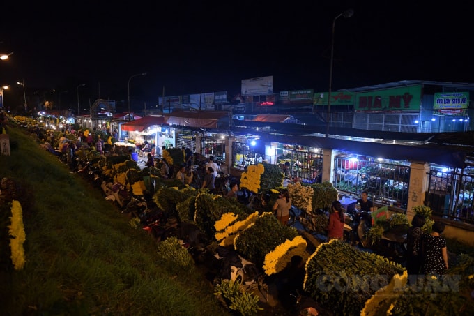 Được biết, chợ hoa năm nay có đa dạng loại hoa, màu sắc để người dân lựa chọn. Đặc biệt với đủ loại hoa hồng, từ hồng của các vườn ươm của Hà Nội đến hồng Đà Lạt, hồng Sapa, hồng Mộc Châu... với các mức giá khác nhau.