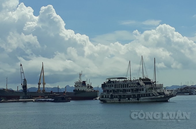 Thành phố Hạ Long sẵn sàng đón khách du lịch, góp phần cùng toàn tỉnh đạt 3 triệu lượt khách trong quý IV/2020. Ảnh Nguyễn Quân.