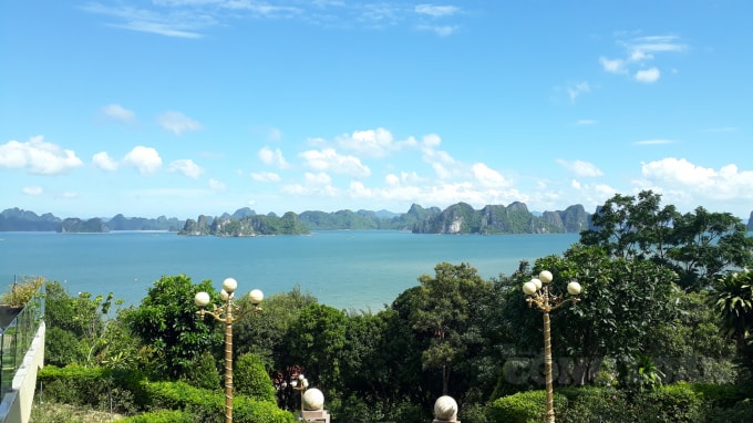 Bãi Dài, Vân Đồn, điểm du lịch hấp dẫn khách du lịch tại Quảng Ninh. Ảnh Nguyễn Quân.