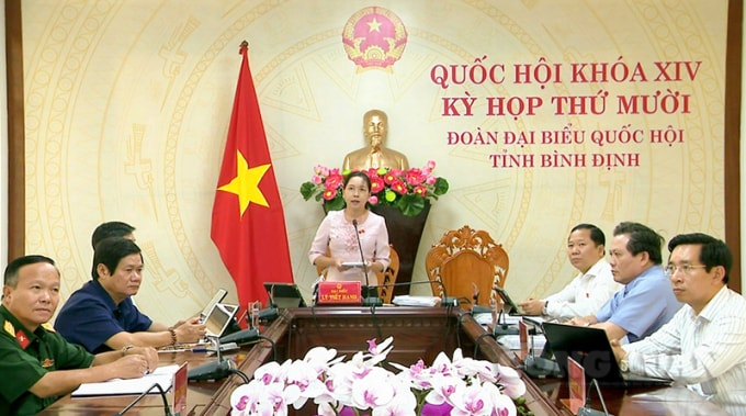 Đại biểu Lý Tiết Hạnh (đoàn tỉnh Bình Định) phát biểu tại phiên thảo luận.