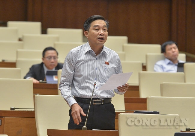 Đại biểu Nguyễn Minh Sơn (đoàn Tiền Giang) phát biểu tại phiên thảo luận.