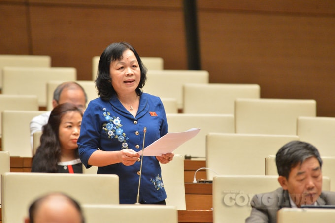 Đại biểu Nguyễn Thị Mai Hoa (đoàn Đồng Tháp).