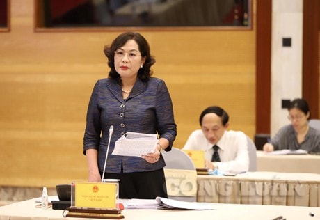 Phó Thống đốc Ngân hàng Nhà nước Nguyễn Thị Hồng.