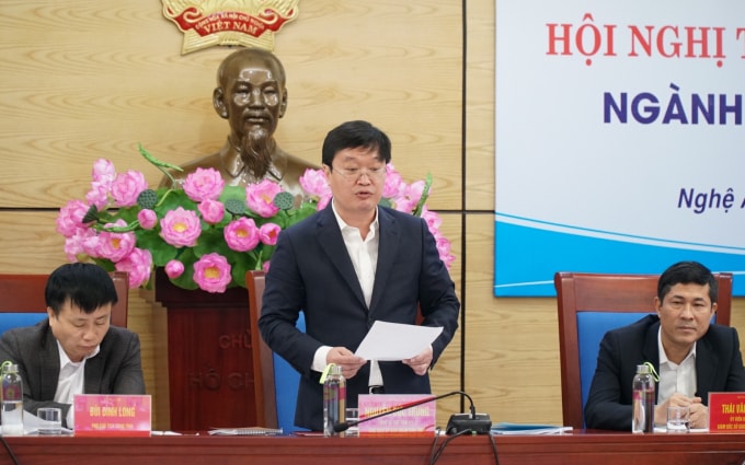 Ông Nguyễn Đức Trung - Chủ tịch UBND tỉnh Nghệ An phát biểu tại hội nghị trực tuyến (ảnh TL).