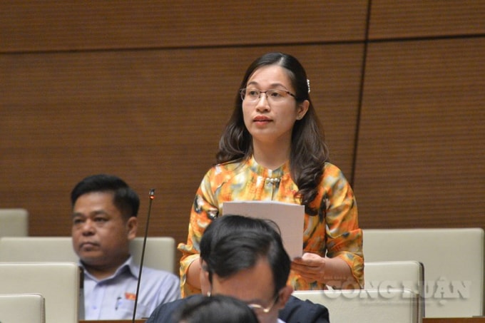 Đại biểu Đặng Thị Phương Thảo (đoàn Nam Định) phát biểu tại buổi thảo luận.